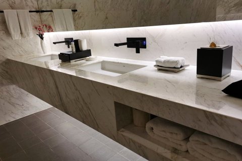 东阿阿胶文化酒店