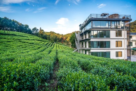 杭州堂庭青芝坞民宿(西湖店)