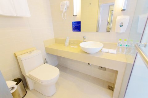 常州中心智选假日酒店(常州青果巷店)