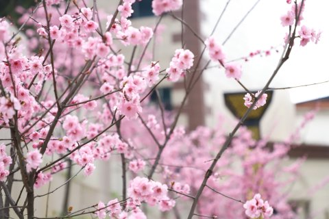 仁怀星辰尊悦国际酒店