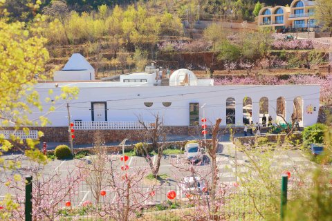 多慢桃花坞·山景私汤民宿