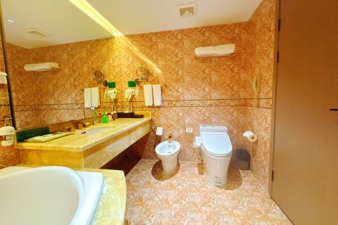 屏南天外天国际大饭店