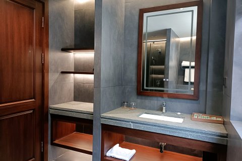 怀宁双龙度假村(独秀山景区店)