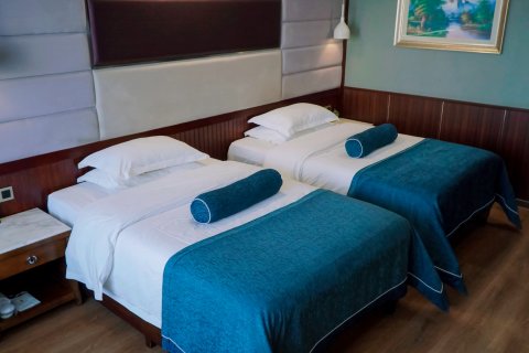 贵德金河源国际饭店