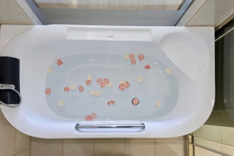 维也纳国际酒店(盱眙洪武大道大桐龙虾美食城店)