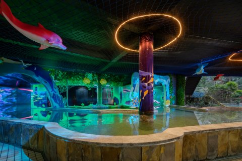 花水湾第一村温泉大酒店