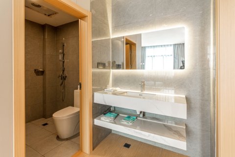 紫云金莎主题酒店