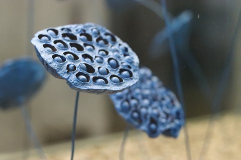 蓝溪酒店(延吉延边大学网红墙水上市场店)