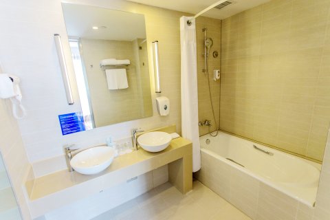 常州中心智选假日酒店(常州青果巷店)