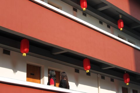 梓园国际青年旅舍(珠江新城杨箕地铁站店)