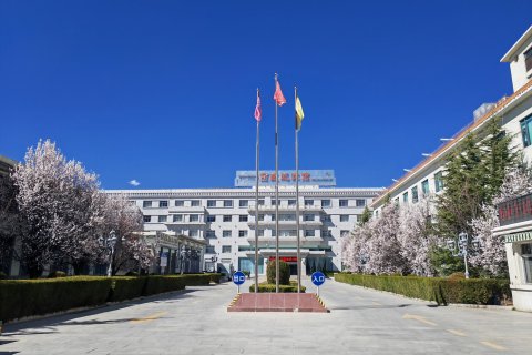西藏迎宾馆(布达拉宫大昭寺店)