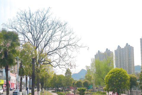 南天大酒店(上栗县花炮文化博览园滨河北路店)