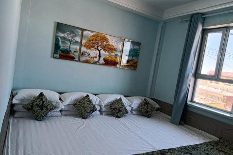 乌鲁木齐山水含情民宿