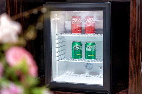 遂宁东旭阳光国际大酒店