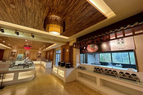 佛冈碧桂园假日温泉酒店(官方直营店)