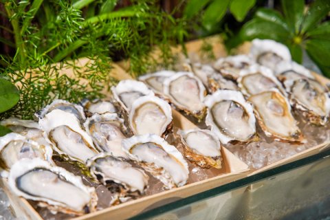 佛山顺德喜来登酒店