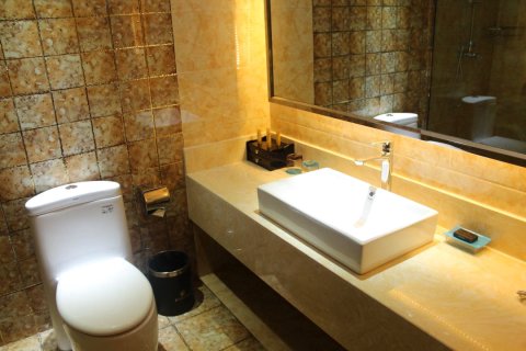 汪清新天府国际酒店