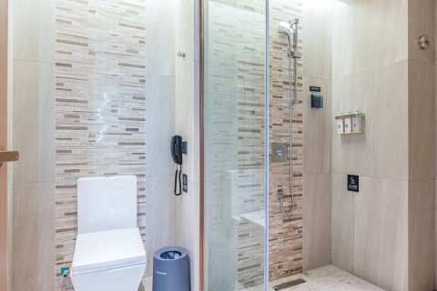 麗枫酒店(石家庄正定古城店)