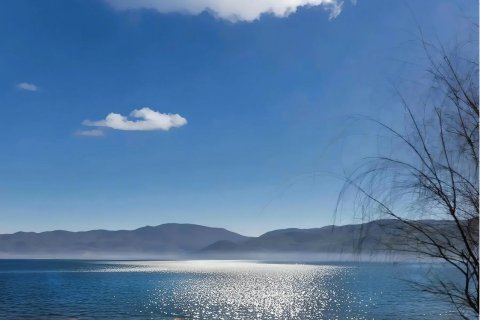 泸沽湖草舍度假别院(大落水码头店)