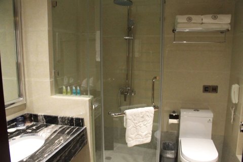 沿河百里画廊酒店