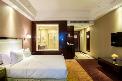 阳山碧桂园凤悦凤凰酒店