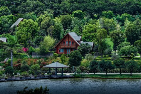弥勒太平湖森林木屋酒店
