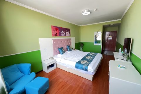 舞阳新汉厅主题酒店