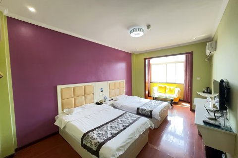 舞阳新汉厅主题酒店