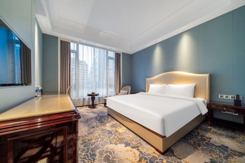 丽水万廷大酒店(市政府万地广场店)