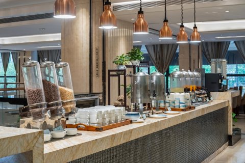 丽水万廷大酒店(市政府万地广场店)