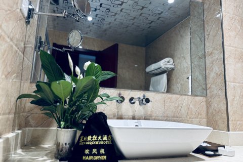 迭部苯日钦牡大酒店