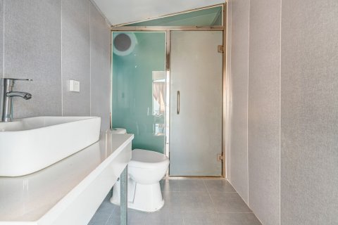 呼伦贝尔陈巴尔虎旗白音盟古乐蒙古包营地