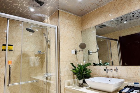 迭部苯日钦牡大酒店