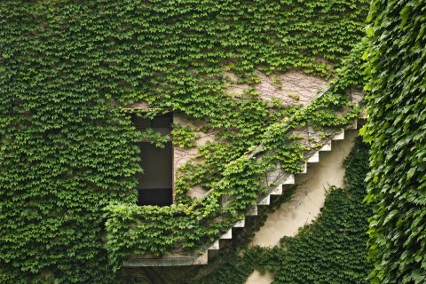 嵊泗枸杞岛青年旅舍