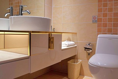 乌鲁木齐西域轻工国际酒店