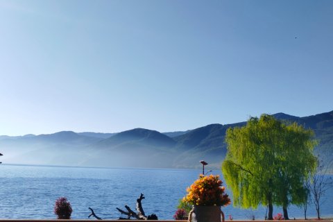 泸沽湖水岸花宿客栈