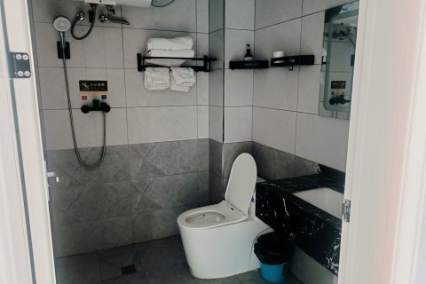 那拉提镇双庭民宿