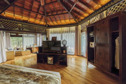 普洱小熊猫庄园