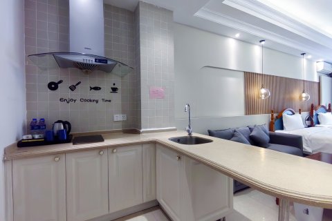 海口斯维登度假公寓(白沙门公园荣域海景店)