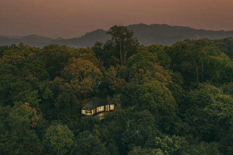 普洱小熊猫庄园