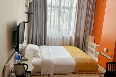 界首七彩创意酒店