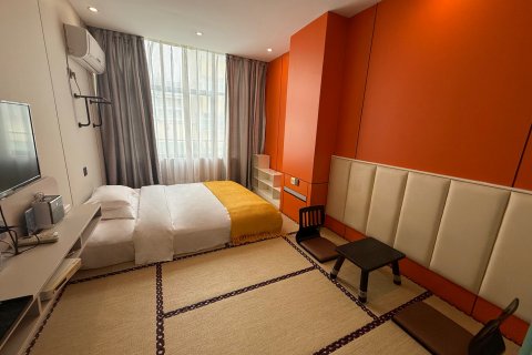 界首七彩创意酒店