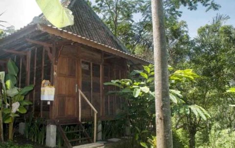 DD乌布别墅酒店(DD Ubud Villa)