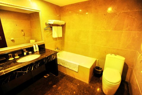 石林银瑞林国际大酒店