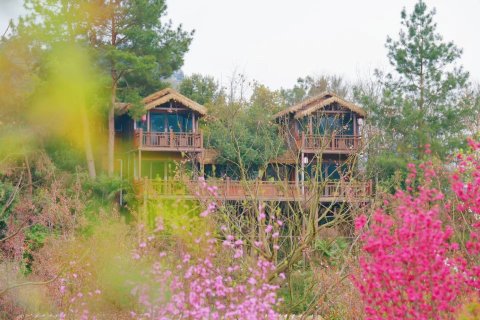 遵义颐方竹度假酒店