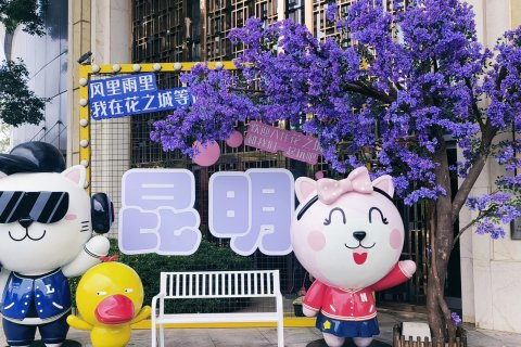 昆明花之城豪生国际大酒店