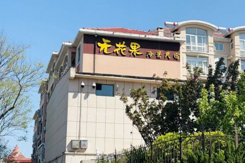 无花果海景民宿(长岛景区客运码头店)