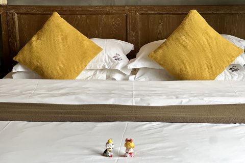 栖心·九隐的院子(阳朔十里画廊遇龙河店)