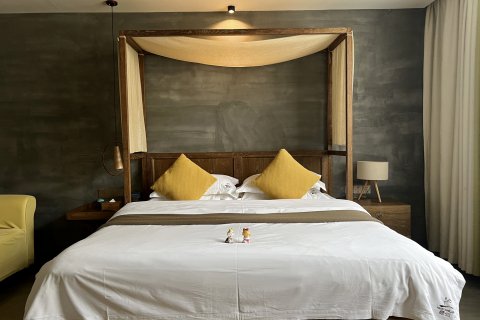 栖心·九隐的院子(阳朔十里画廊遇龙河店)