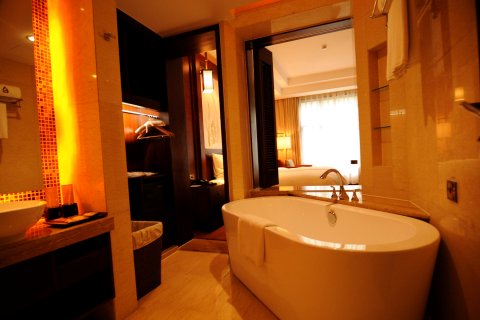 阆中圣索亚酒店